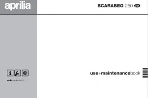 Repair Manual Aprillia Scarabeo 250 Workshop Download All 2005 Onwards Models Covered PDF Download