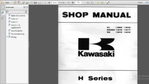 1969-1975 Kawasaki H Series Workshop Service Repair Manual Download - PDF DOWNLOAD