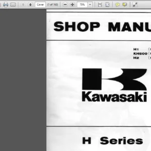1969-1975 Kawasaki H Series Workshop Service Repair Manual Download - PDF DOWNLOAD