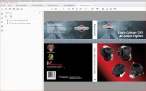 2009 Briggs Stratton Engines Workshop Repair Manual - PDF DOWNLOAD