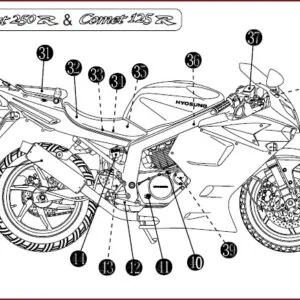 Hyosung Gt250r 125r Master Service Manual - PDF DOWNLOAD