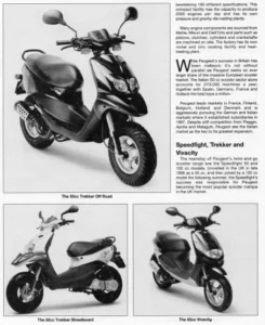 Peugeot Vivacity 50cc 100cc Digital Workshop Repair Manual 1999-2005 - PDF DOWNLOAD