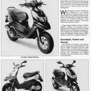 Peugeot Vivacity 50cc 100cc Digital Workshop Repair Manual 1999-2005 - PDF DOWNLOAD