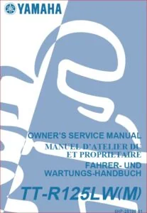 Yamaha Ttr 125 Lw M Motorcycle Service Manual 2000 - PDF DOWNLOAD