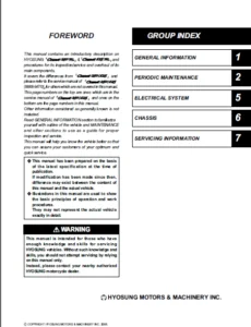 Hyosung Comet 250r Comet 125r Service Repair Manual - Download