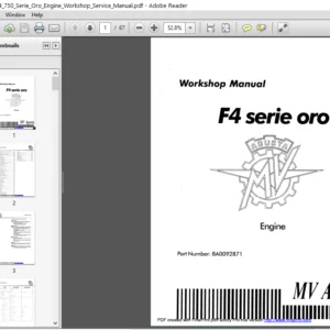 Mv Agusta F4 750 Serie Oro Engine Workshop Service Manual - PDF DOWNLOAD