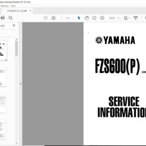 2002 Yamaha FZS600P Service Info Manual - PDF DOWNLOAD