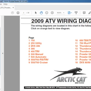 2009 Arctic Cat ATV Wiring Diagrams Manual - PDF DOWNLOAD