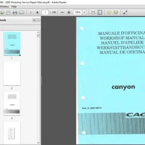 Cagiva Canyon 1996 - 2000 Service Repair Manual - PDF DOWNLOAD