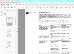 Fassi F330.23 Possible Faults Manual - PDF DOWNLOAD