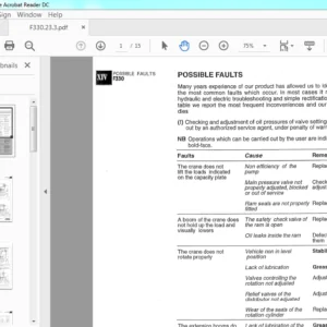 Fassi F330.23 Possible Faults Manual - PDF DOWNLOAD