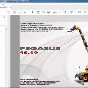 Dieci Pegasus 45.19 Parts Catalogue Manual - PDF DOWNLOAD