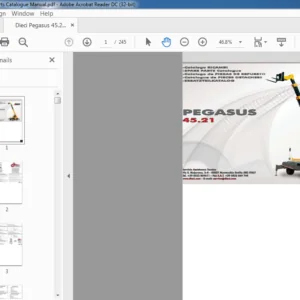 Dieci Pegasus 45.21 Parts Catalogue Manual - PDF DOWNLOAD