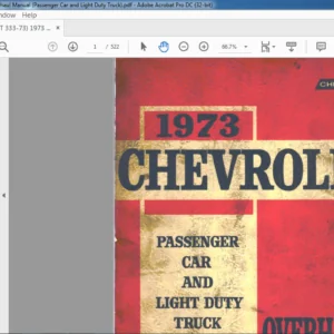 1973 Chevrolet passenger Car & light duty Truck Overhaul Manual - PDF DOWNLOAD