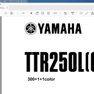 Yamaha TTR250L(C) SERVICE MANUAL -PDF DOWNLOAD