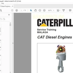 CAT Diesel Engines Service Training Manual - PDF DOWNLOAD