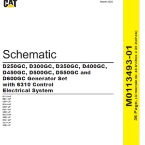 EN CAT Engine - Generator Set D250GC D300GC D350GC D400GC D450GC D500GC D550GC D600GC 6310 Control Electrical System Schematic Manual