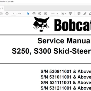Bobcat S250 S300 Skid-Steer Loader Service Manual 6904158 (3-09) - PDF DOWNLOAD