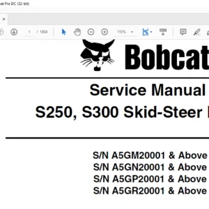 Bobcat S250 S300 Skid-Steer Loader Service Manual 6987039 (6-10) - PDF DOWNLOAD