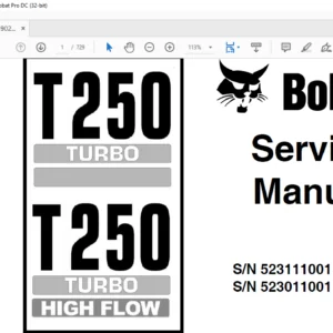 Bobcat T250 Turbo T250 Turbo High Flow Service Manual 6902451 (3-06) - PDF DOWNLOAD