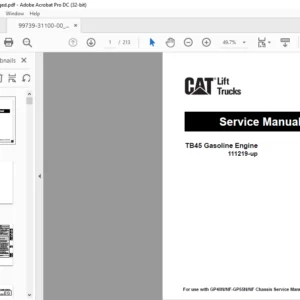 Caterpillar TB45 Gasoline Engine 111219-up Service Manual - PDF DOWNLOAD