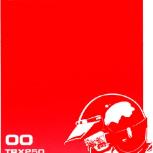 2000 HONDA TRX250 FOURTRAX RECON OWNER'S MANUAL- PDF DOWNLOAD