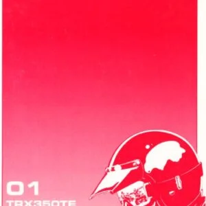 2001 Honda TRX350TE Fourtrax 350 ES Owner's Manual - PDF DOWNLOAD