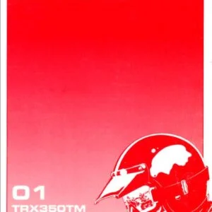 2001 Honda TRX350TM Fourtrax 350 Owner's Manual - PDF DOWNLOAD