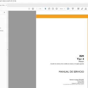 Case ISM Tier 4 Motor Manual de Servicio - PDF DOWNLOAD (Spanish)