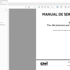 Case New Holland Cursor 10 Tier 4A (interim) & Stage IIIB Motor Manual de Servicio - PDF DOWNLOAD (Spanish)