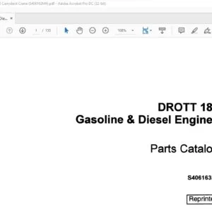 Case DROTT 188 Gasoline & Diesel Engines Parts Catalog Manual S406163M4 - PDF DOWNLOAD