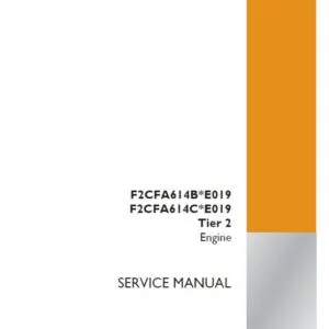 Case F2CFA614BE019 F2CFA614CE019 Tier 2 Engine Service Manual 47441651 - PDF DOWNLOAD