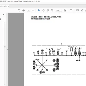 Tadano Crane AW-250-4-80101 3 BOOM,WHEEL TYPE Spare Parts Catalog Manual  - PDF DOWNLOAD