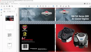 Briggs & Stratton 700-750 Series DOV Air-Cooled Engines Repair Manual - PDF DOWNLOAD