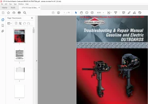 Briggs & Stratton Gasoline & Electric OUTBOARDS Troubleshooting & Repair Manual - PDF DOWNLOAD