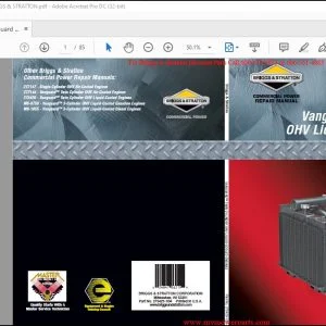 Briggs & Stratton Vanguard Twin Cylinder OHV Liquid-Cooled Engines Repair Manual - PDF DOWNLOAD