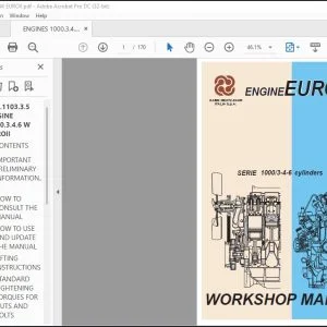 DEUTZ-FAHR SERIE 1000 3-4-6 cylinders ENGINE EURO 2 Workshop Manual - PDF DOWNLOAD