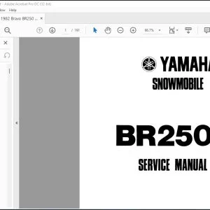 Yamaha Snowmobile BR250F Service Manual - PDF DOWNLOAD