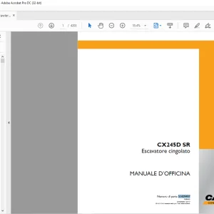 Case CX245D SR Escavatore cingolato MANUALE D’OFFICINA 51429497 - PDF DOWNLOAD (Italian)