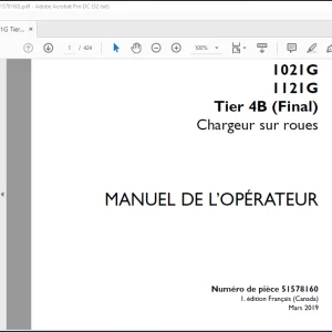 Case Chargeuse compacte sur roues 1021G 1121G Tier 4B (Final) MANUEL DE L’OPÉRATEUR 51578160 -PDF DOWNLOAD (FRENCH)
