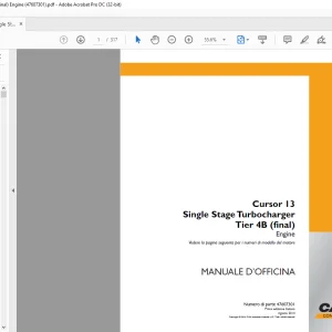 Case  Cursor 13 Single Stage Turbocharger Tier 4B (final) Engine MANUALE D’OFFICINA 47607301 - PDF DOWNLOAD (Italian)