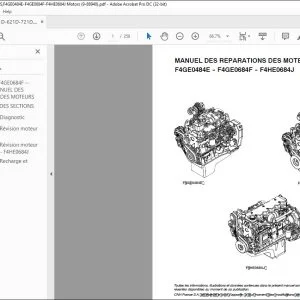 Case F4GE0484E - F4GE0684F - F4HE0684J MANUEL DES REPARATIONS DES MOTEURS - PDF DOWNLOAD (French)