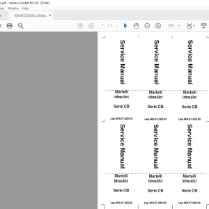 Case Martelli idraulici Serie CB Service Manual 603.67.220.03 - PDF DOWNLOAD (Italian)