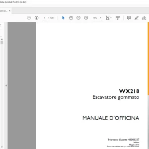 Case  WX218 Escavatore gommato MANUALE D’OFFICINA  48005327 - PDF DOWNLOAD (Italian)