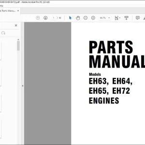 Wacker Neuson EH63 EH64 EH65 EH72 Engine Parts Manual - PDF DOWNLOAD