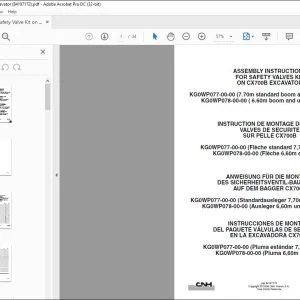 CNH CX700B Excavator Safety Valves Kit Assembly Instructions Manual 84197172 EN_FR_DE_IT_ES - PDF DOWNLOAD