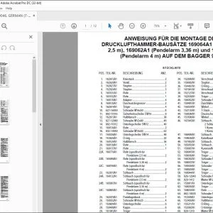 Case ANWEISUNG FÜR DIE MONTAGE DER DRUCKLUFTHAMMER-BAUSÄTZE 169064A1 169062A1 & 169063A1 AUF DEM BAGGER 9046 - PDF DOWNLOAD (German)