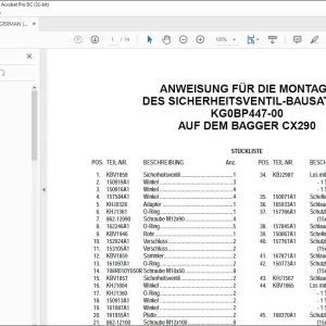 Case ANWEISUNG FÜR DIE MONTAGE DES SICHERHEITSVENTIL-BAUSATZES KG0BP447-00 AUF DEM BAGGER CX290 - PDF DOWNLOAD (German)