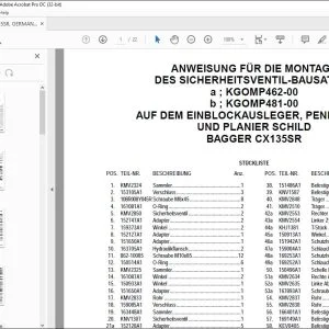 Case ANWEISUNG FÜR DIE MONTAGE DES SICHERHEITSVENTIL-BAUSATZES KGOMP462-00 KGOMP481-00 AUF DEM EINBLOCKAUSLEGER, PENDELARM UND PLANIER SCHILD BAGGER CX135SR - PDF DOWNLOAD (German)