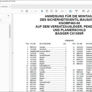 Case ANWEISUNG FÜR DIE MONTAGE DES SICHERHEITSVENTIL-BAUSATZES KGOMP463-00 AUF DEM VERSATZAUSLEGER, PENDELARM UND PLANIERSCHILD BAGGER CX135SR - PDF DOWNLOAD (German)